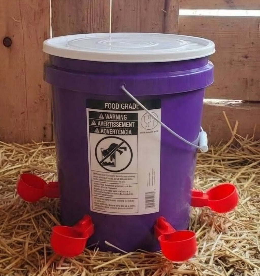 Chicken/Poultry Water Dispenser 5 gallon food-grade bucket w/snap closed lid+4 Red cups