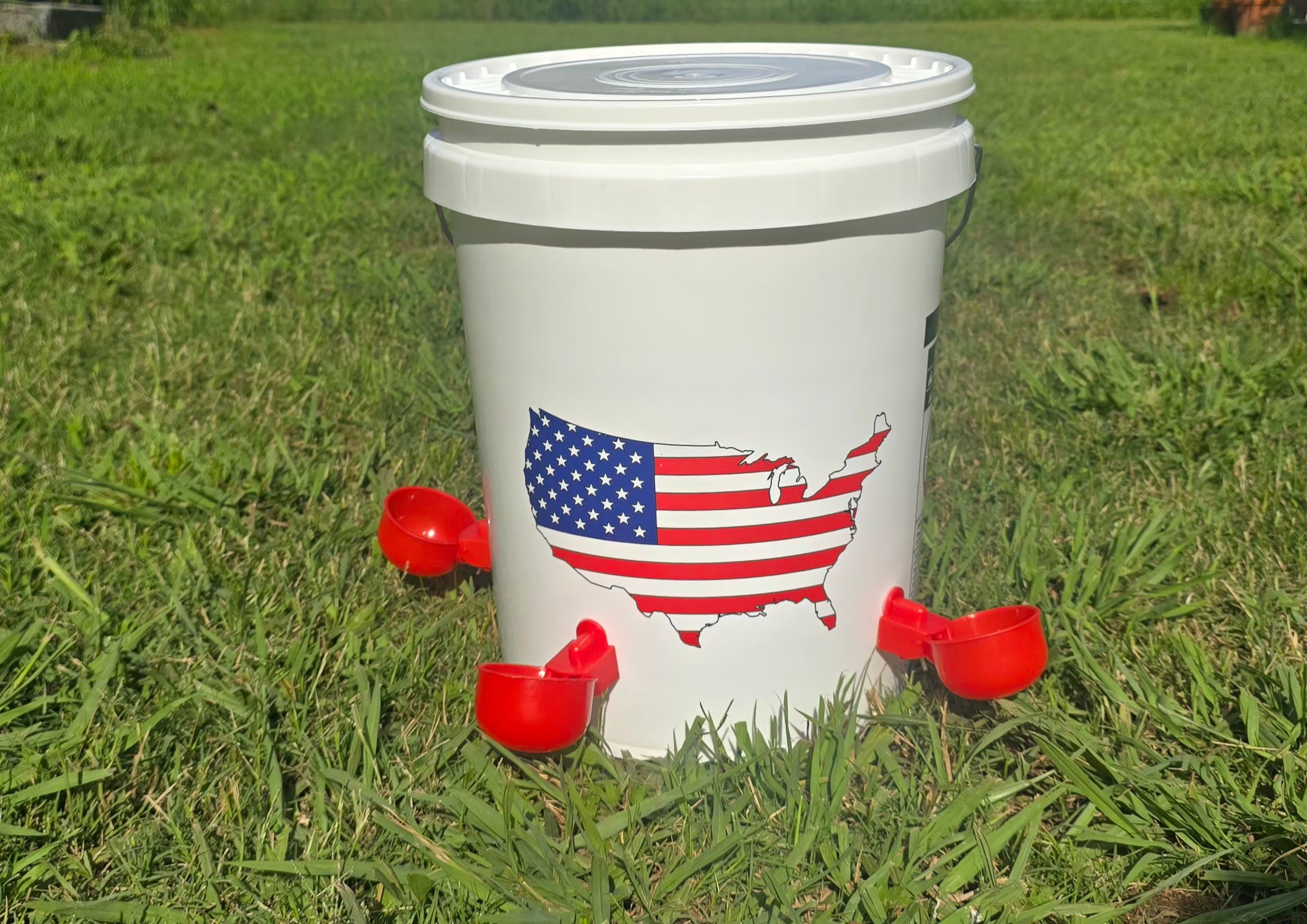 Chicken/Poultry Water Dispenser 5 gallon food-grade bucket w/snap closed lid+4 Red cups